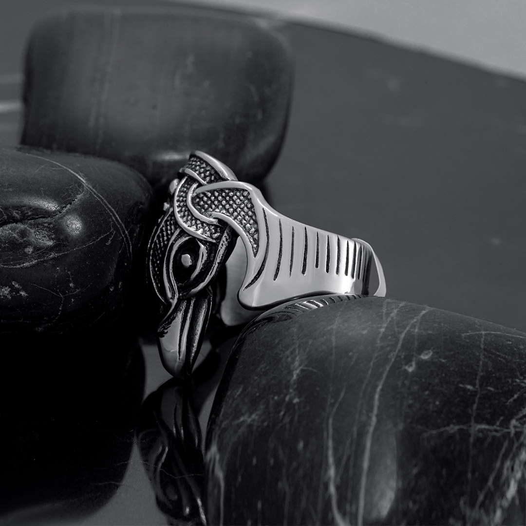 Punk Crow Stainless Steel Ring