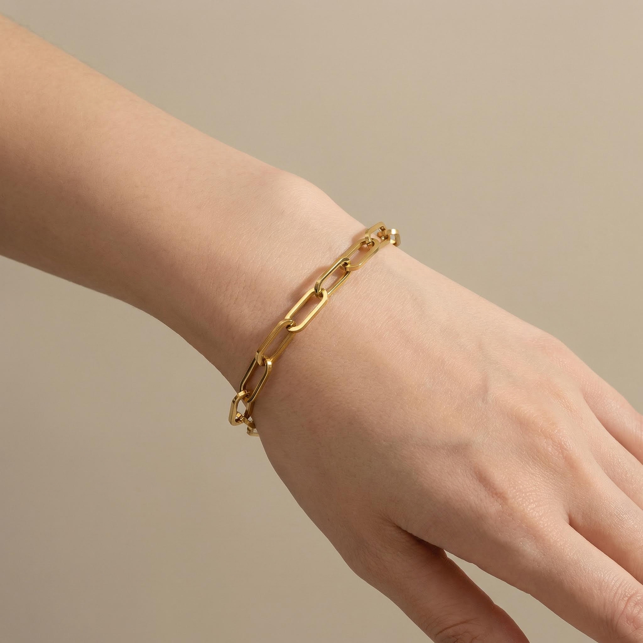 Paperclip Bracelet Paperclip Bracelet