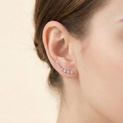 Fashion Climbers Stud Earrings