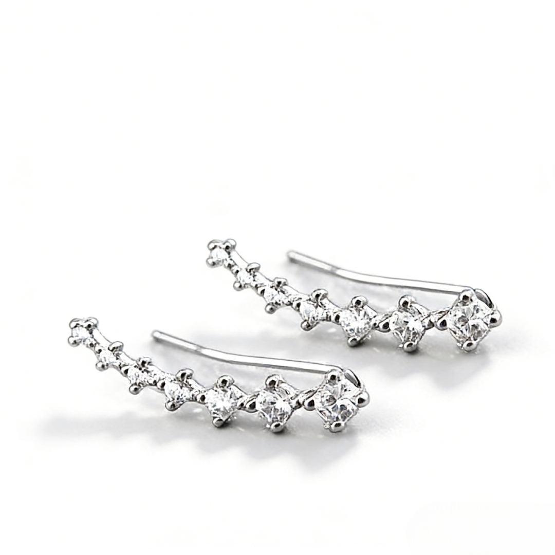 Fashion Climbers Stud Earrings