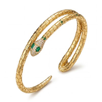 Adjustable Double Layer Design Snake Bracelet & Bangle