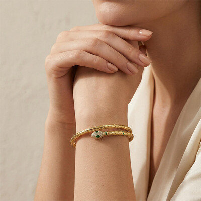 Adjustable Double Layer Design Snake Bracelet & Bangle