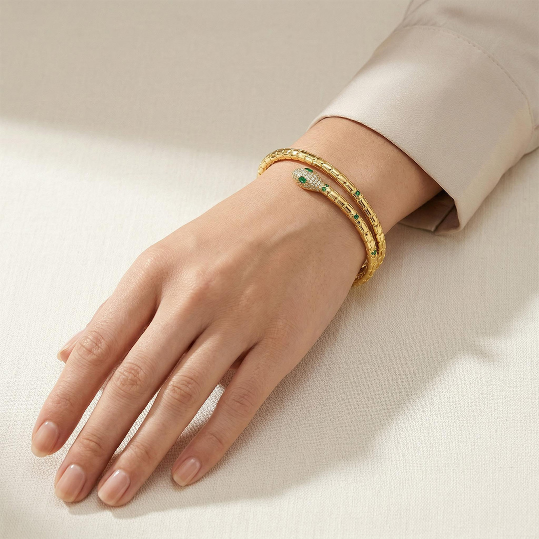 Adjustable Double Layer Design Snake Bracelet & Bangle