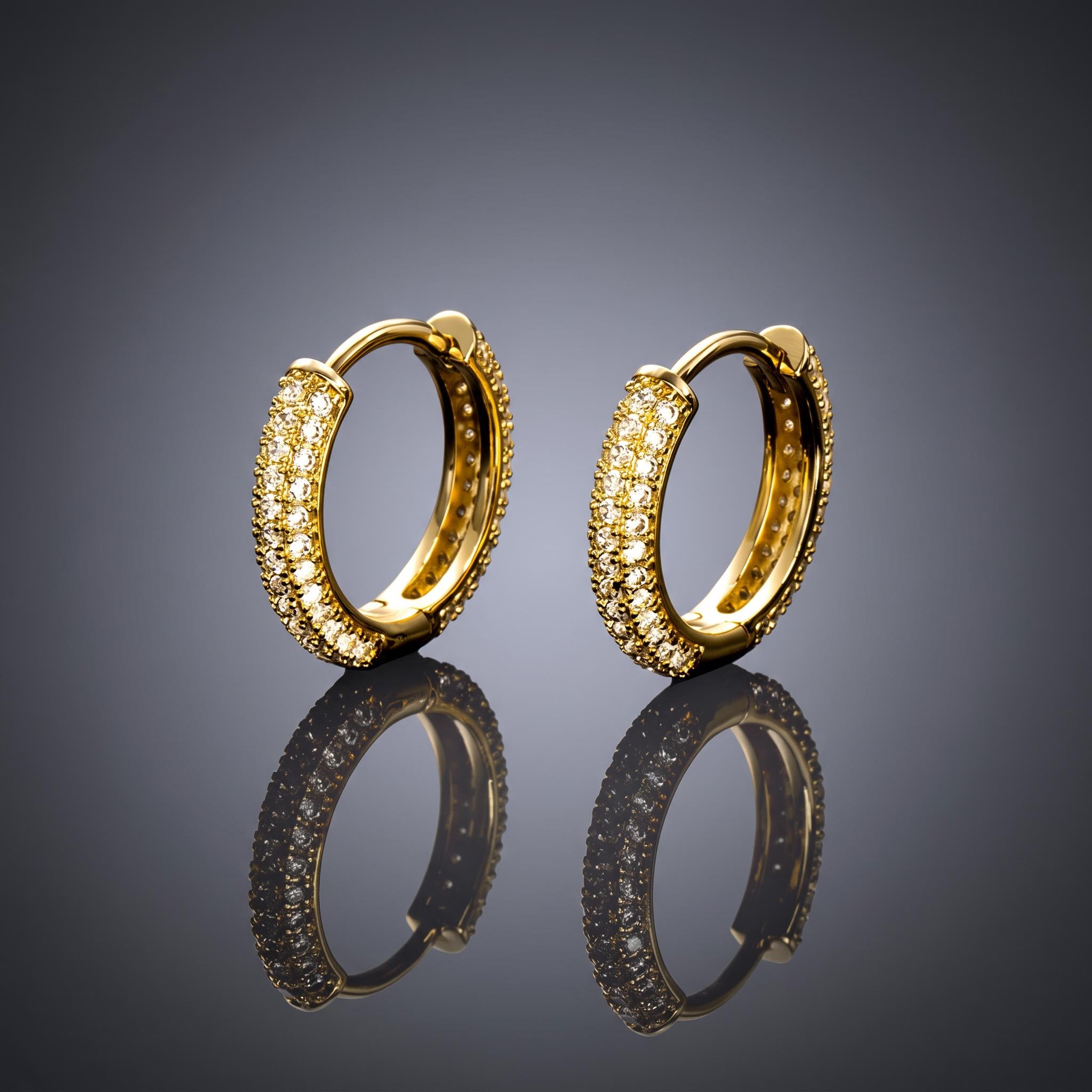 Iced Circle Hoop Earrings in Gold Iced Circle Hoop Earrings in Gold