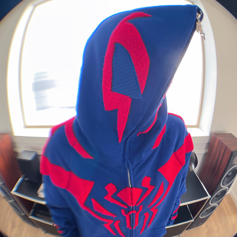 Y2K Spider Embroidery Street Hoodie