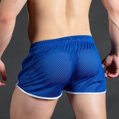 Casual Unlined Mesh Shorts