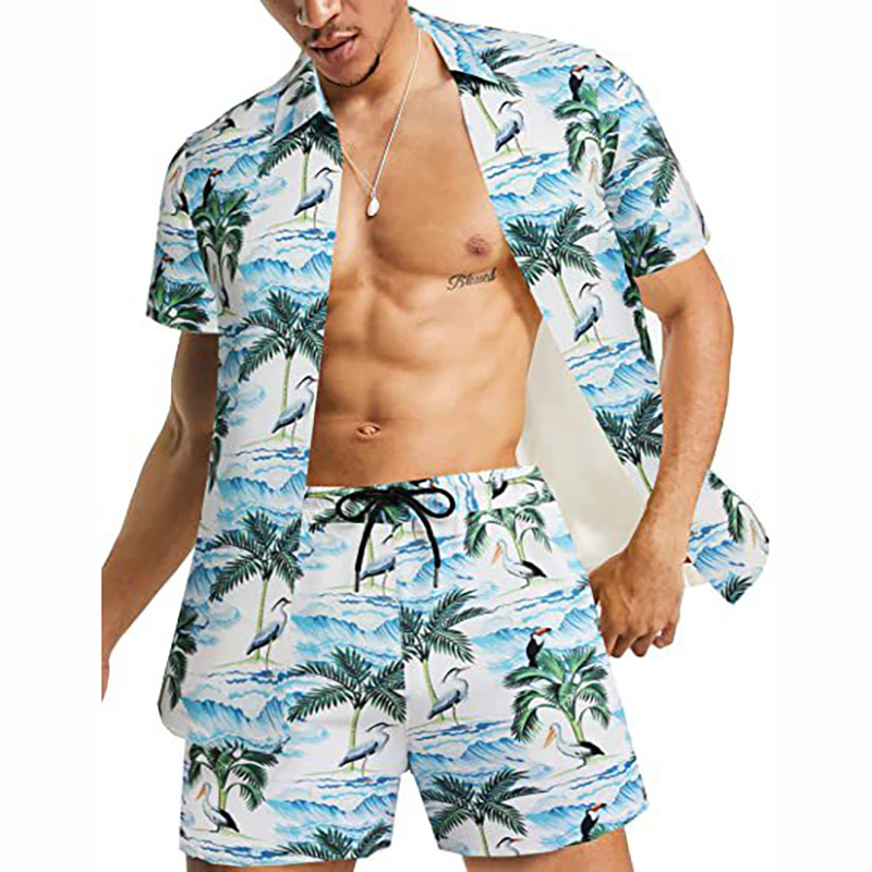 Luxury Casual Button Down Short Sleeve Hawaiian Shirt Set