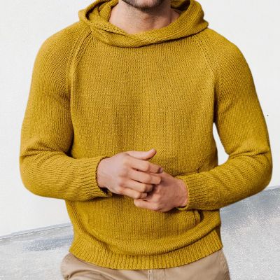 Solid Basic Hooded Sweater
