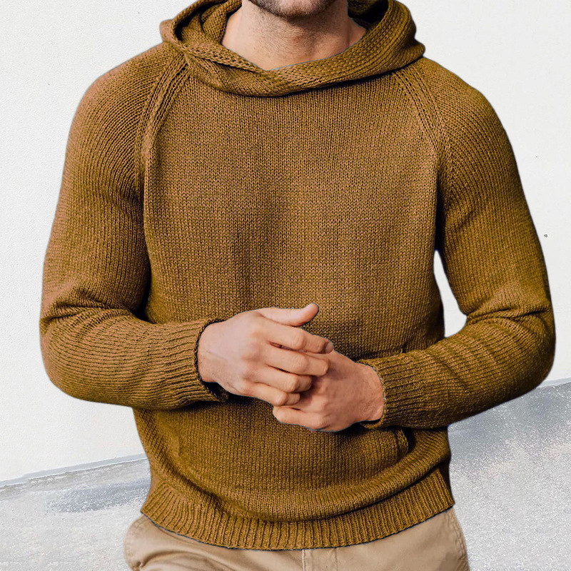 Solid Basic Hooded Sweater
