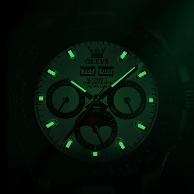 Waterproof Multi-function Luminous Automatic Mechanical Watch for Men