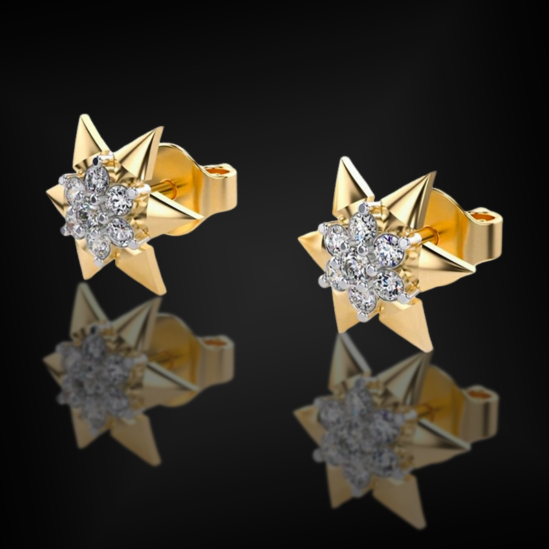 925S & VVS Moissanite the Star of David Earrings