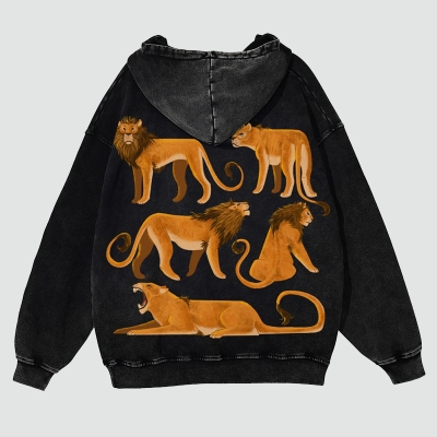 Lions Casual Washed Hoodie