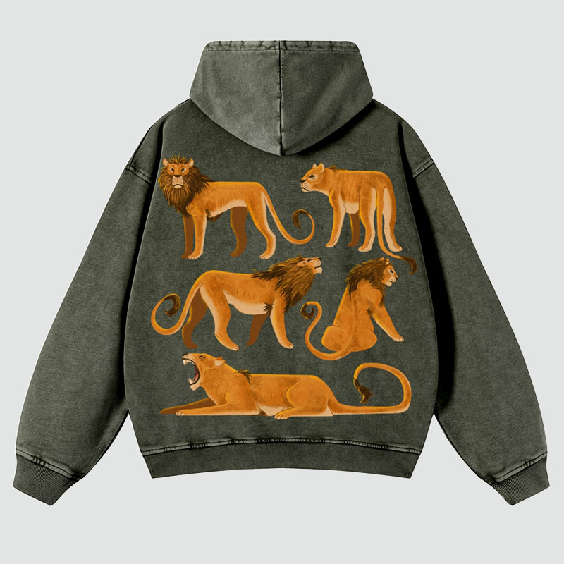 Lions Casual Washed Hoodie