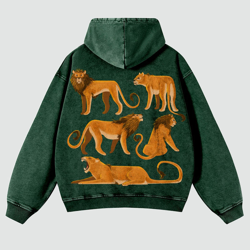 Lions Casual Washed Hoodie