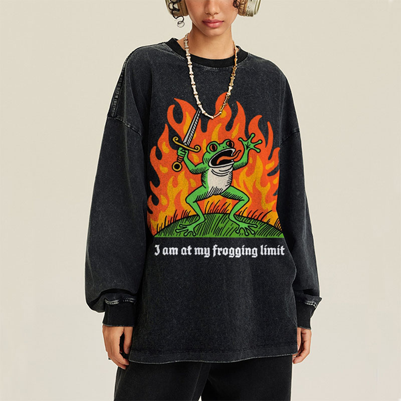 Frogging Limit Unisex Washed Long Sleeve T-shirt