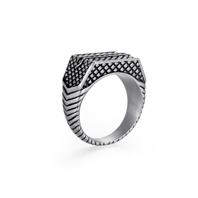 Reptile Signet Stainless Steel Matte Ring