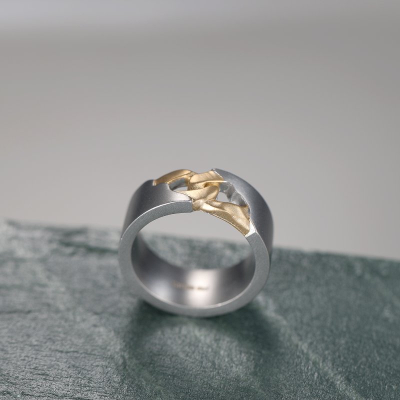 Stainless Steel Matt Ring in Gold and White Gold