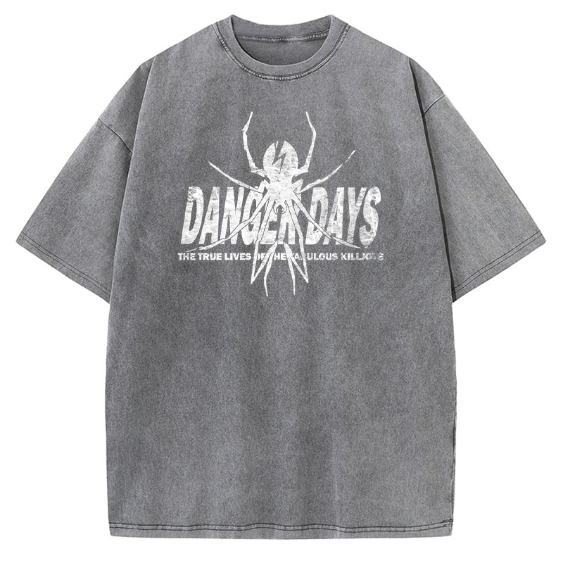 Spider Graphic Washed Cotton T-Shirt