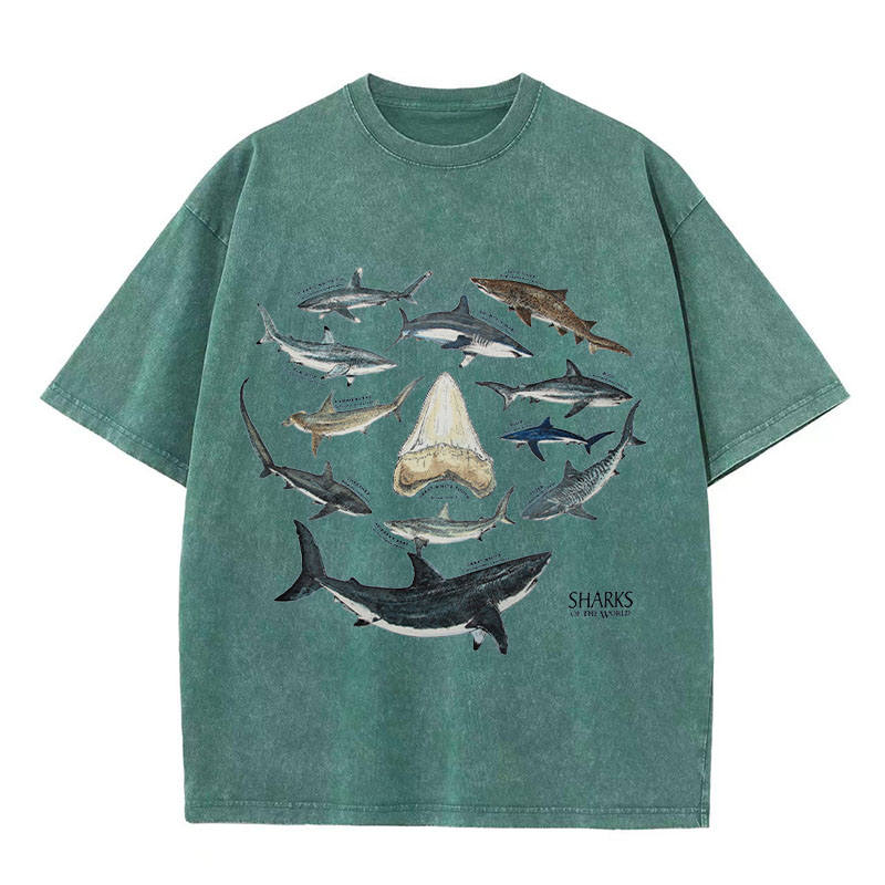 Ocean Shark Washed Cotton T-Shirt