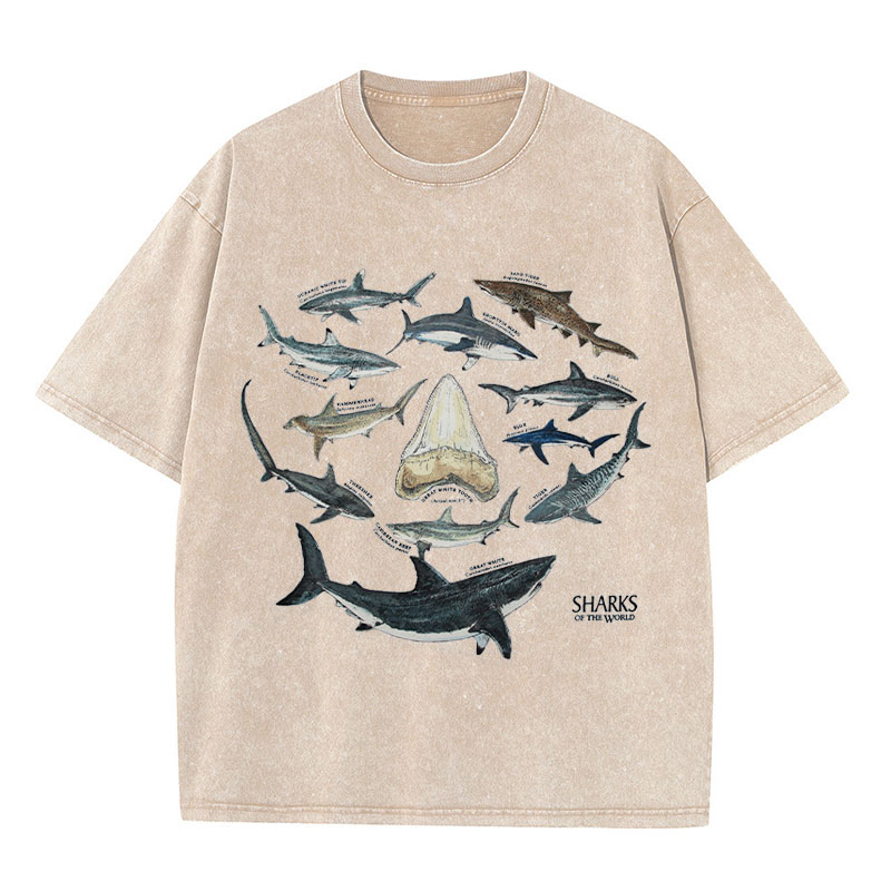 Ocean Shark Washed Cotton T-Shirt