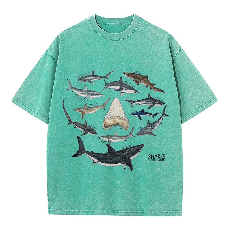 Ocean Shark Washed Cotton T-Shirt