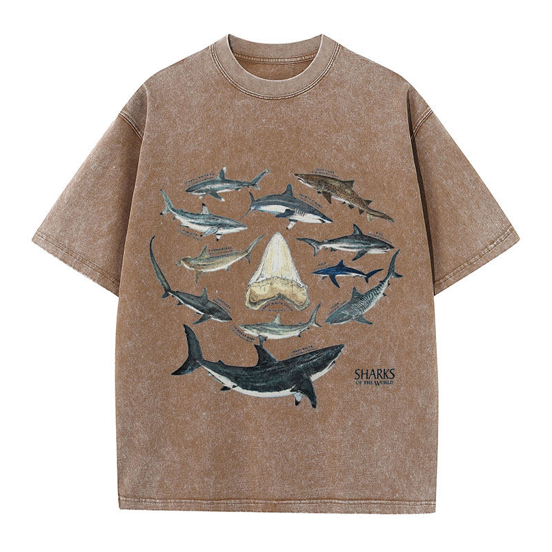 Ocean Shark Washed Cotton T-Shirt