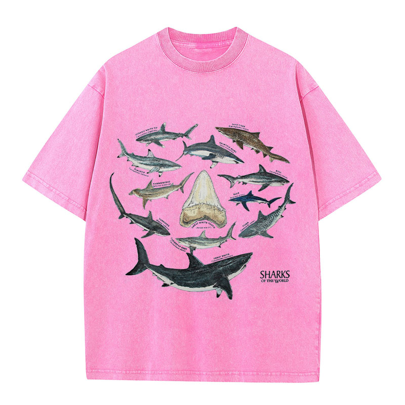 Ocean Shark Washed Cotton T-Shirt