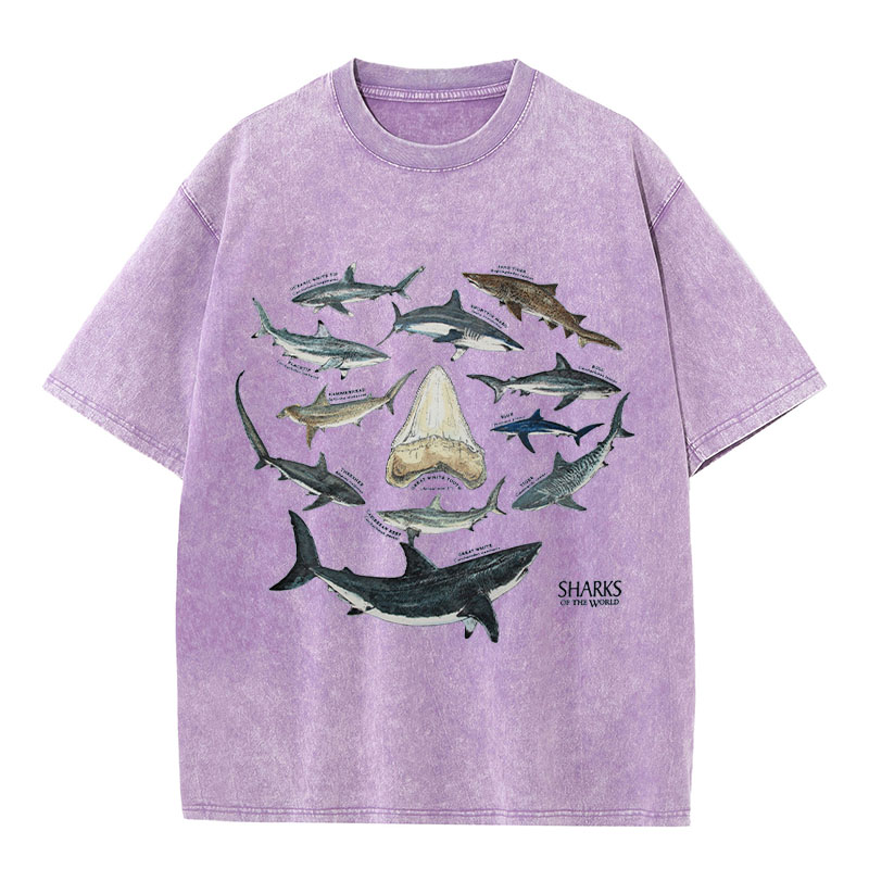 Ocean Shark Washed Cotton T-Shirt