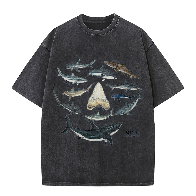 Ocean Shark Washed Cotton T-Shirt