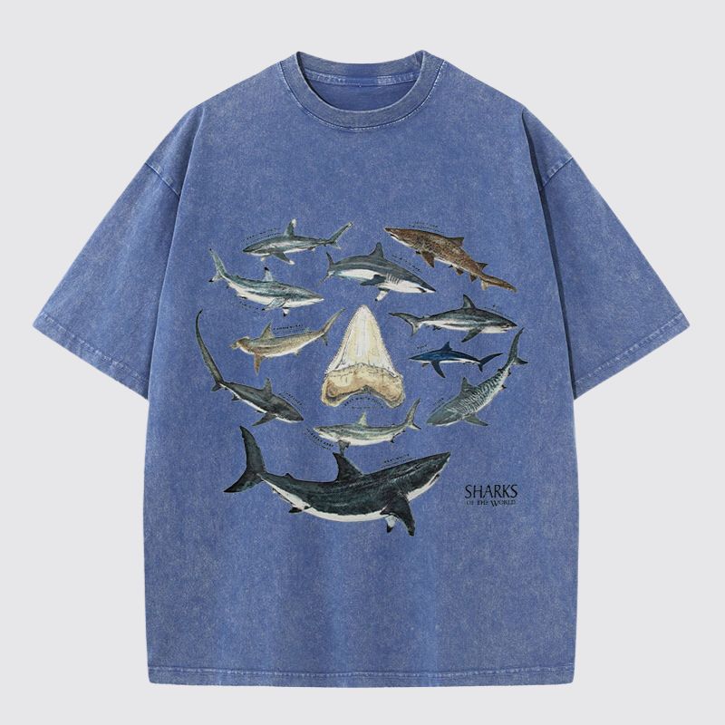 Ocean Shark Washed Cotton T-Shirt