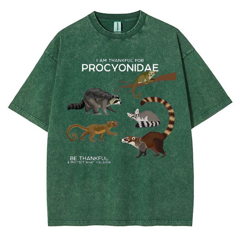 I Am Thankful For Procyonidae Washed Cotton T-shirt