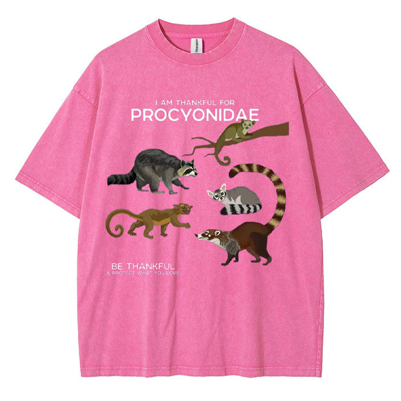 I Am Thankful For Procyonidae Washed Cotton T-shirt