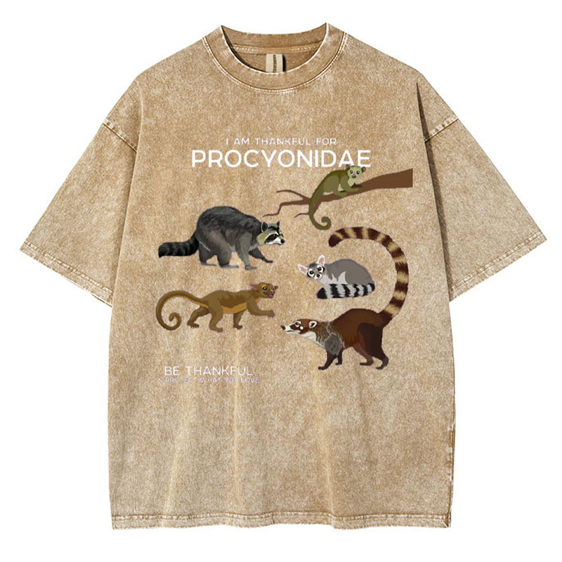 I Am Thankful For Procyonidae Washed Cotton T-shirt