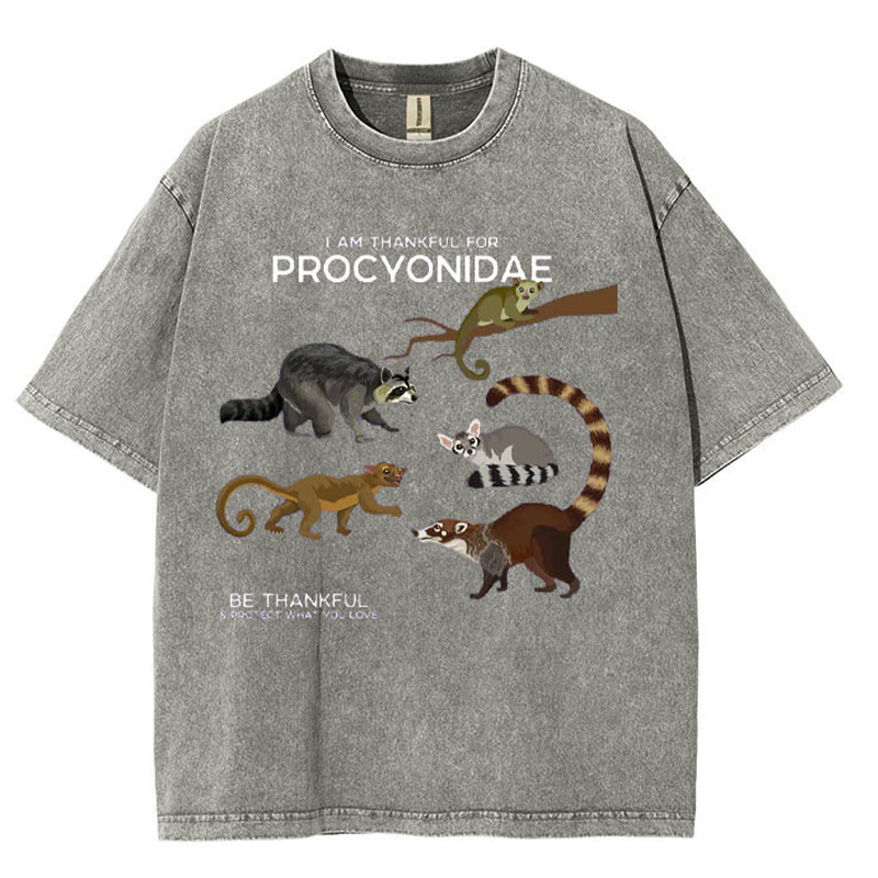 I Am Thankful For Procyonidae Washed Cotton T-shirt