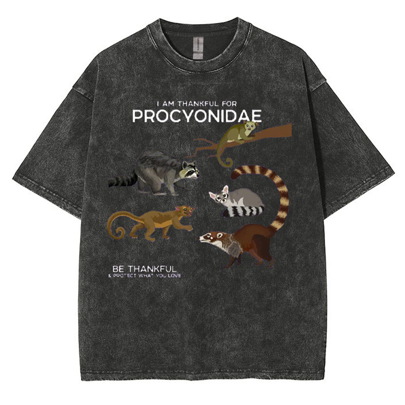 I Am Thankful For Procyonidae Washed Cotton T-shirt