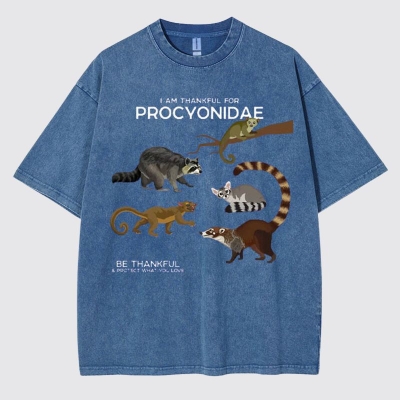 I Am Thankful For Procyonidae Washed Cotton T-shirt