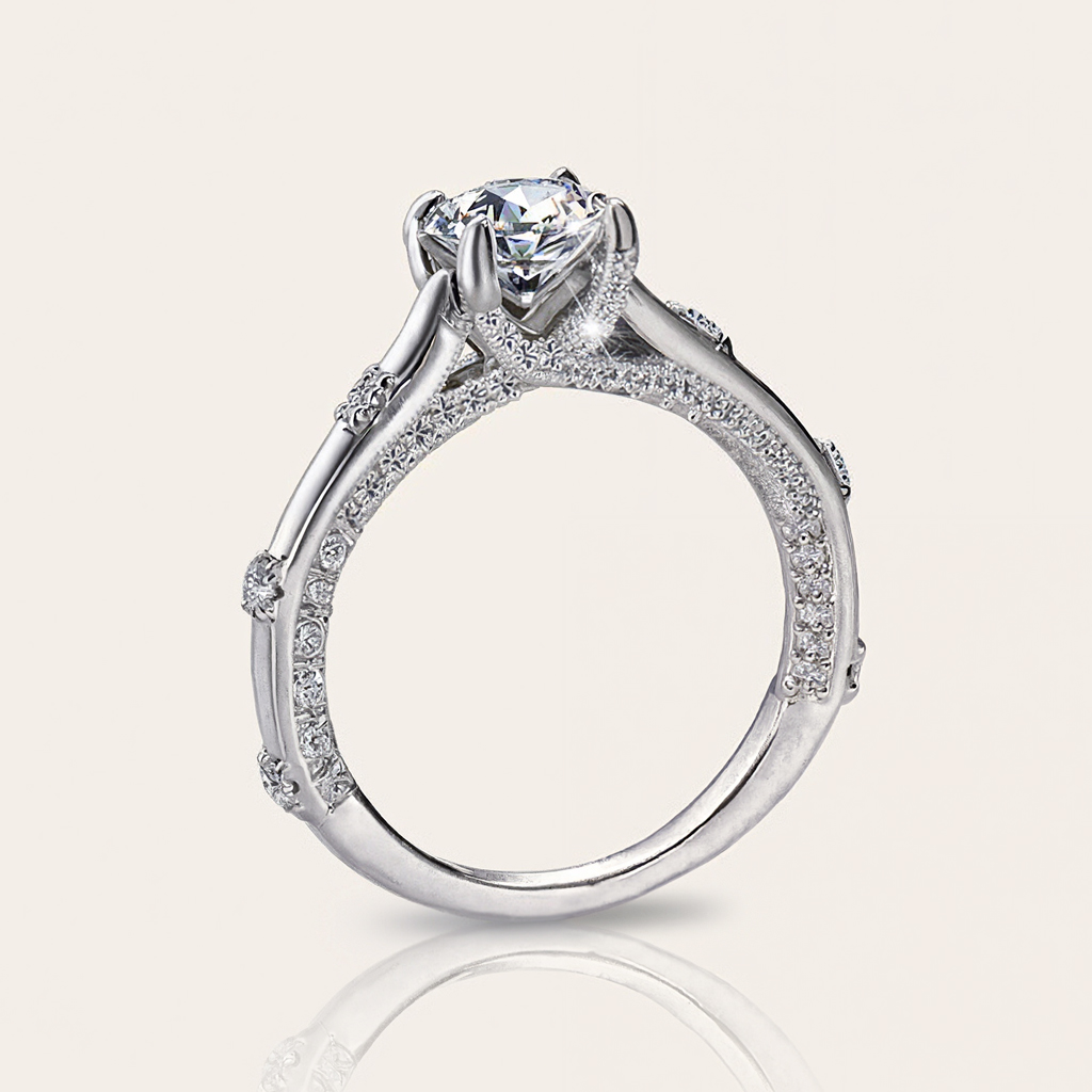 1CT Round Cut VVS Moissanite S925 Silver with Side Stone Engagement Ring 1CT Round Cut VVS Moissanite S925 Silver with Side Stone Engagement Ring