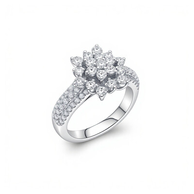Round Cut VVS Moissanite Cluster Engagement Ring