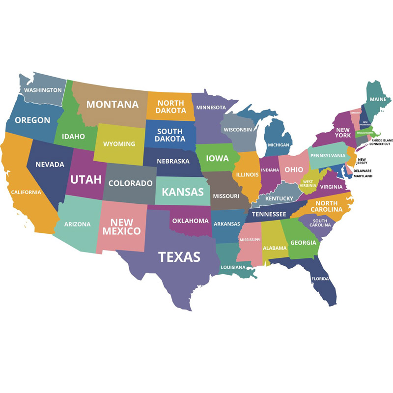 Iced U.S. State Shape Pendant Iced U.S. State Shape Pendant