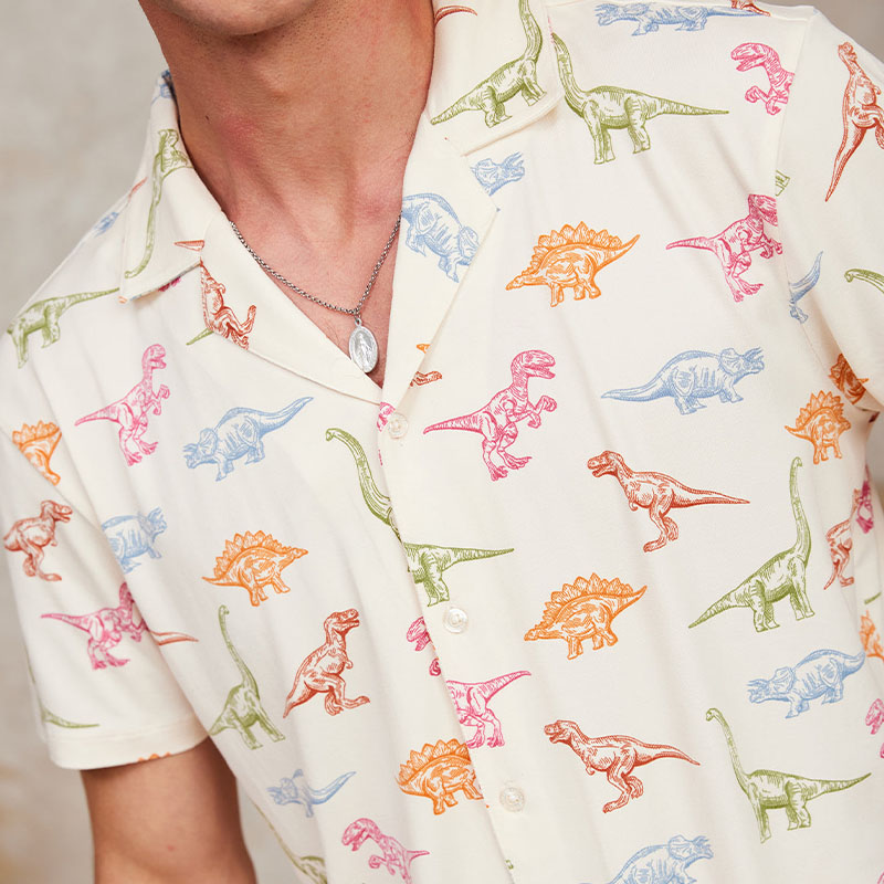 Dinosaur Print Long Shirt Set