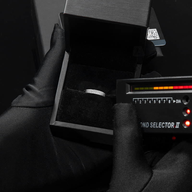 Double Row 0.67CT Round Cut VVS Moissanite S925 Silver Wedding Band