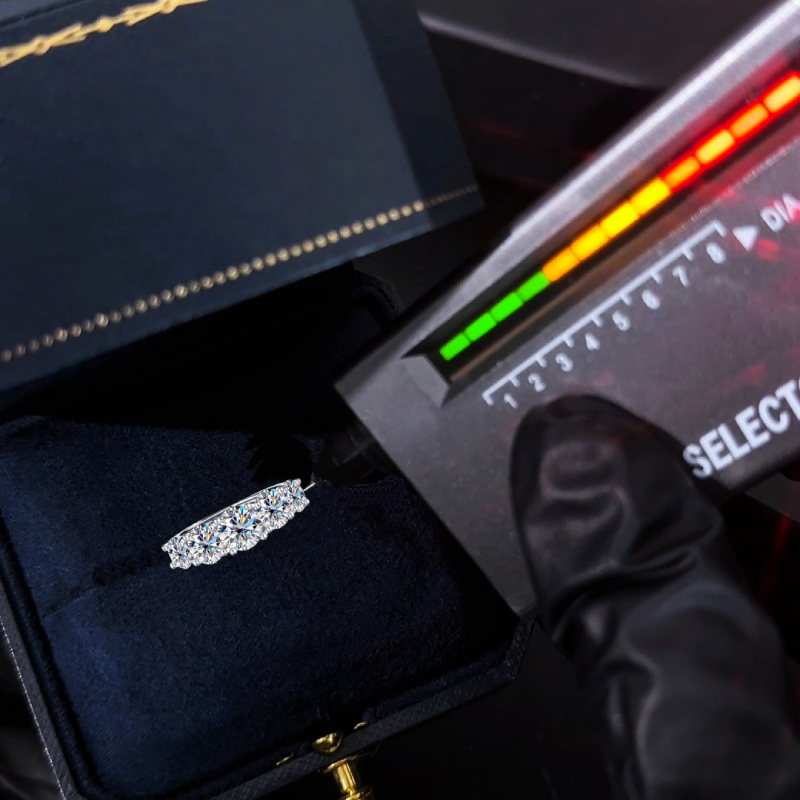 S925 Silver VVS Moissanite 3.6Ct Round Cut Women's Band