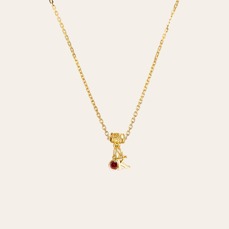 Initial & Birthstone Charm Necklace
