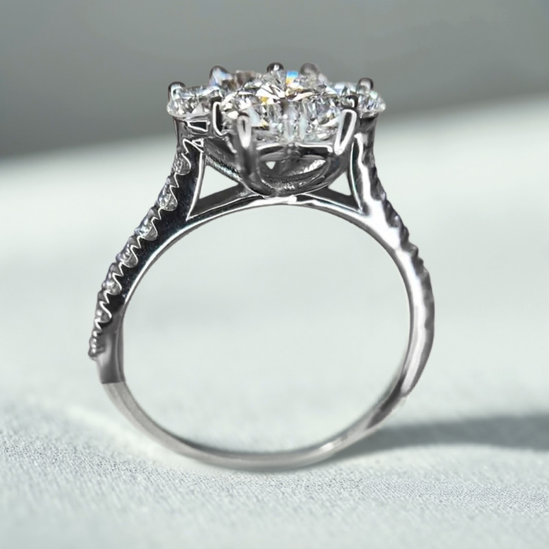 1.64CT Heart & Round Cut Paw Shape VVS Moissante S925 Silver Engagement Ring