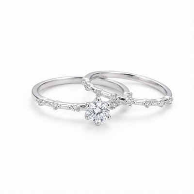 Round Cut VVS Moissanite S925 Silver Halo Engagement Ring Set