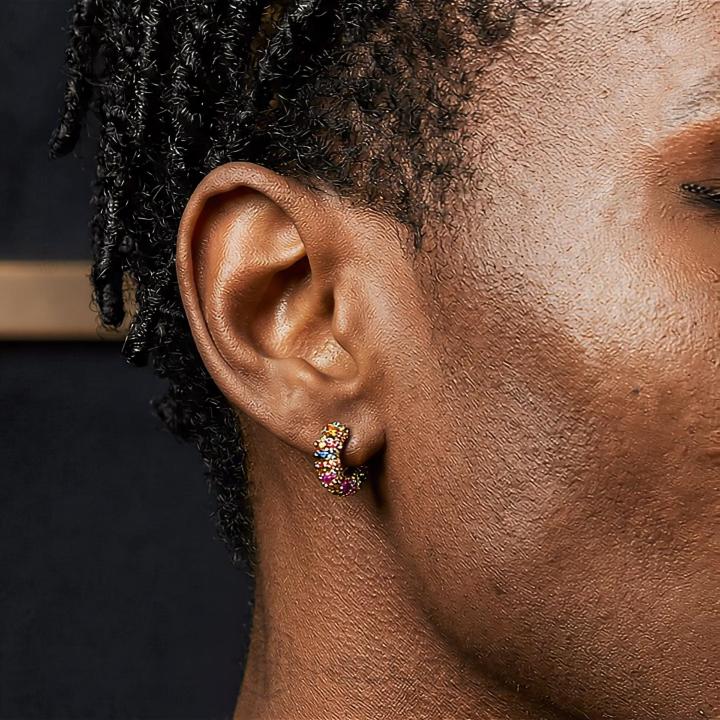 Iced Out Multi-color Earrings