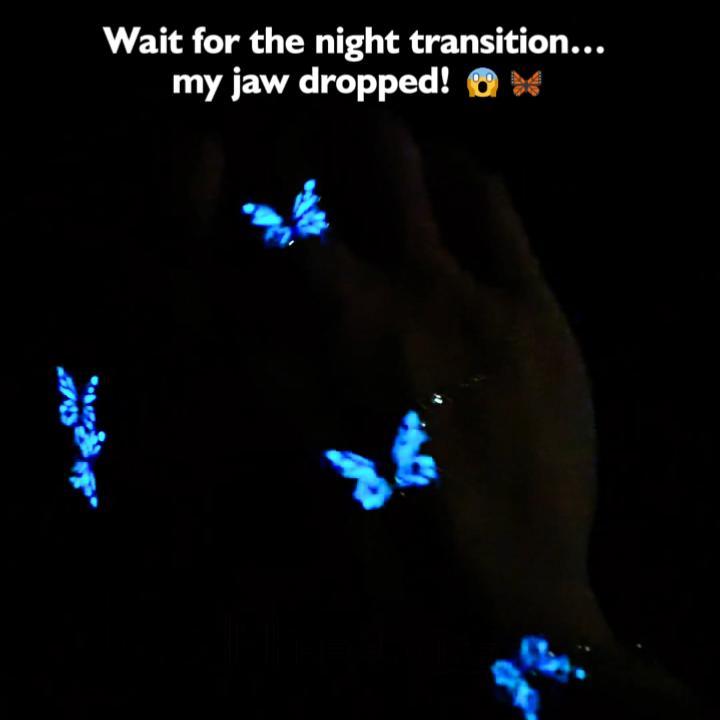 Blue Butterfly Glow S925 Silver Bundle Set -4Pcs