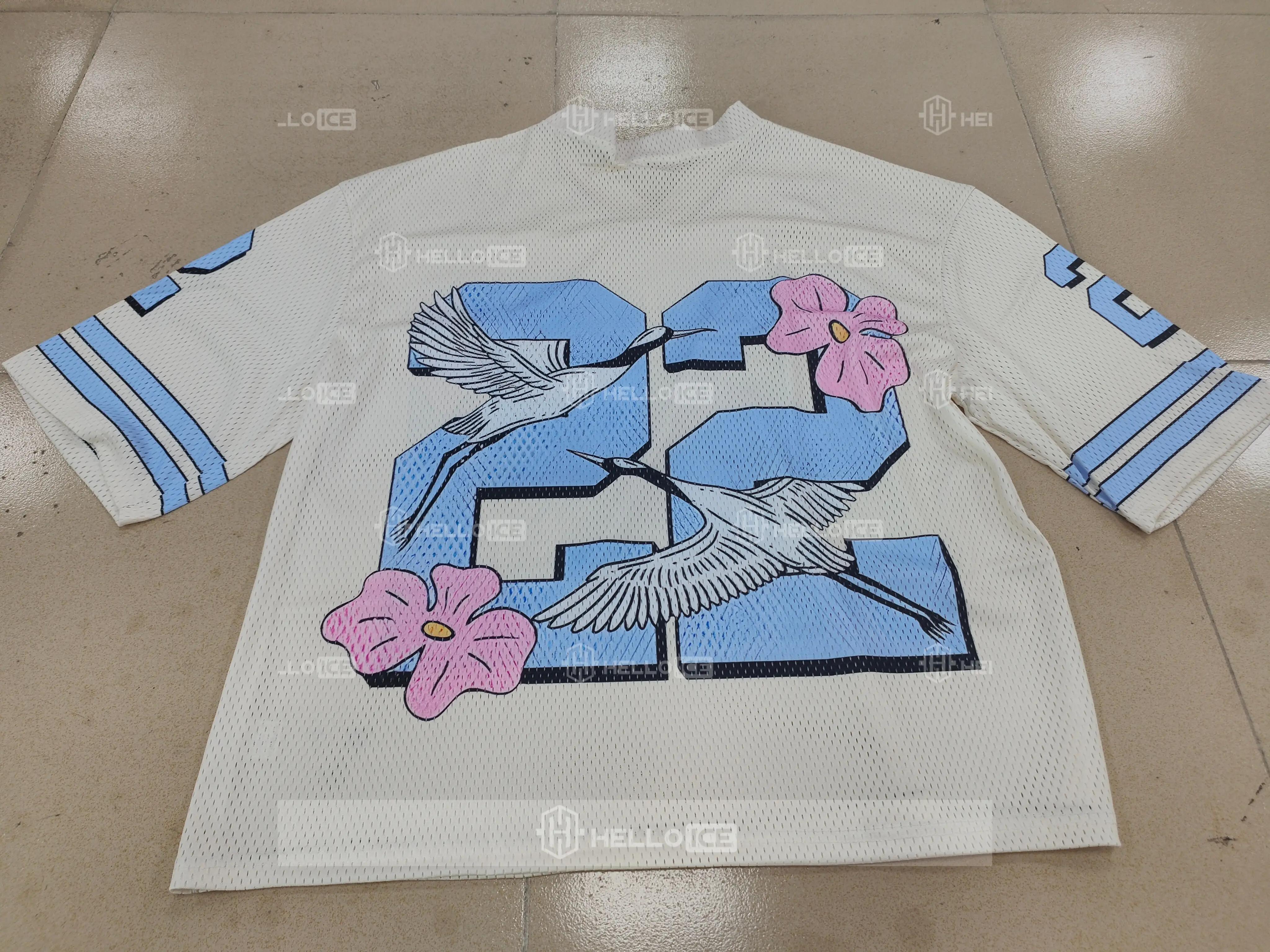 Helloice Review Image