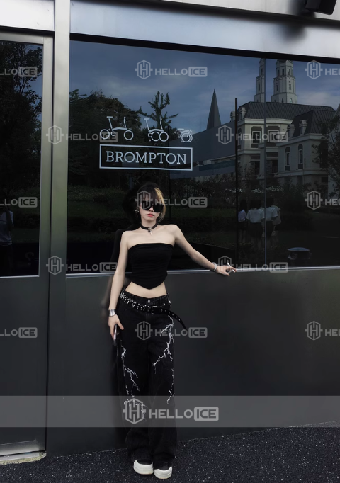 Helloice Review Image