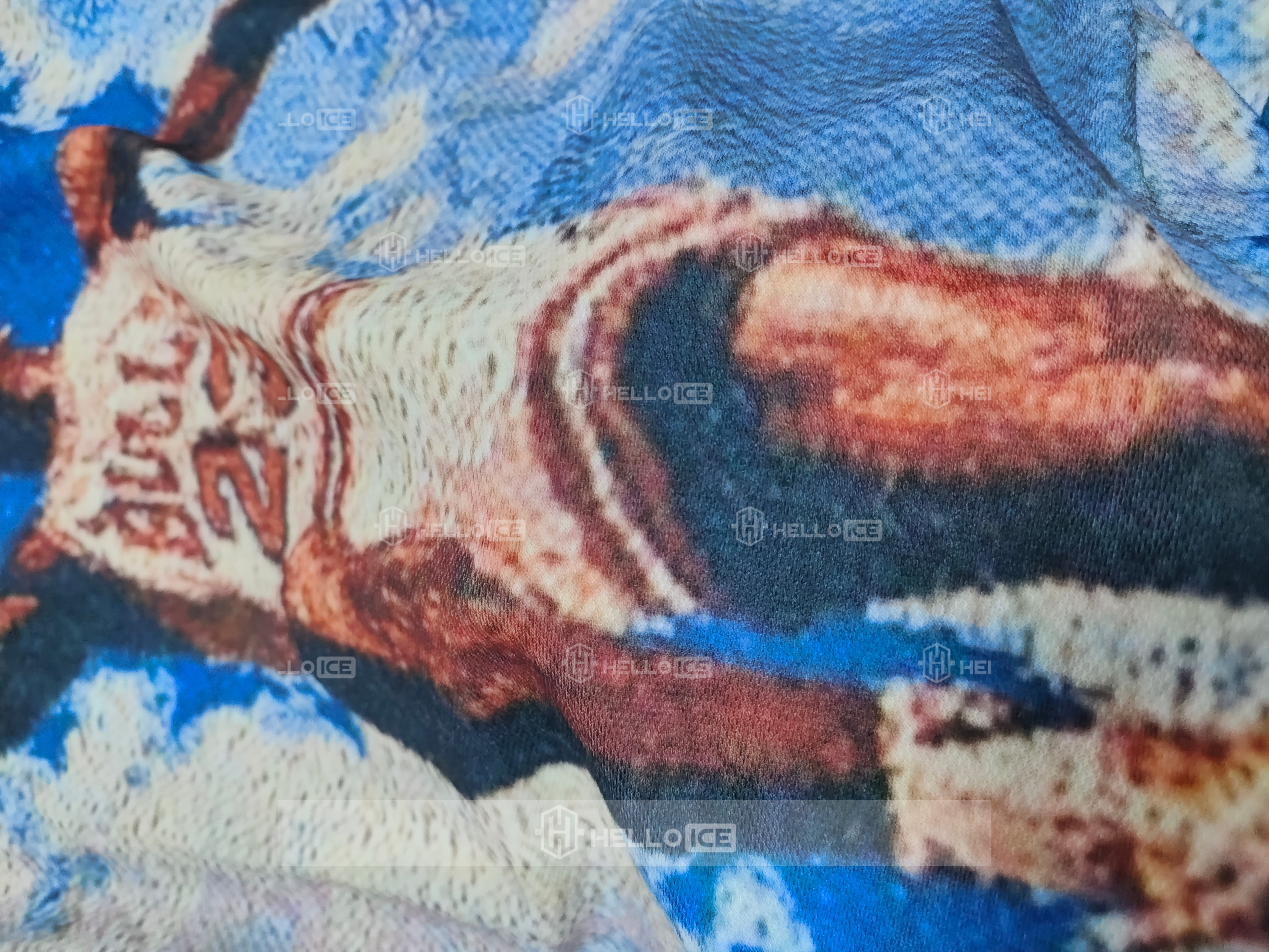 Helloice Review Image